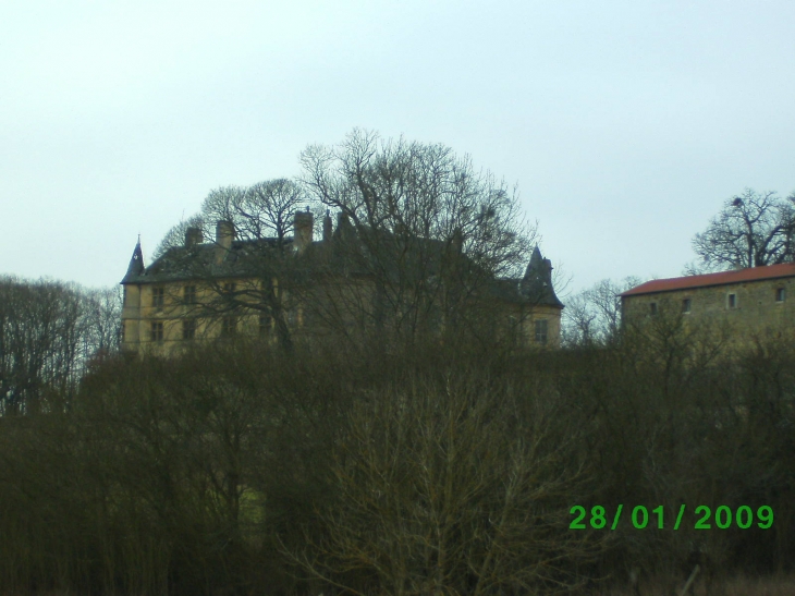 Le châteaux - Hombourg-Budange