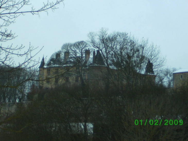 Le châteaux - Hombourg-Budange