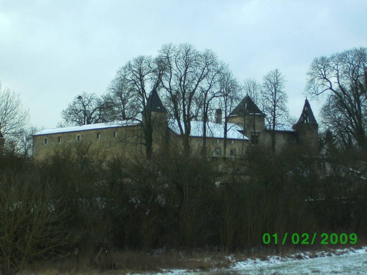 Entrée du châteaux - Hombourg-Budange