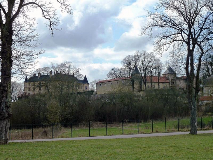 Vue sur le château - Hombourg-Budange