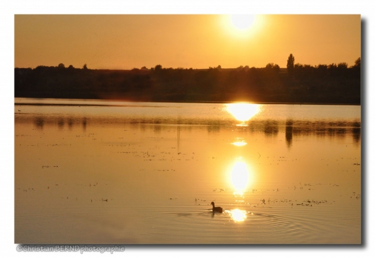 Etang de Hoste