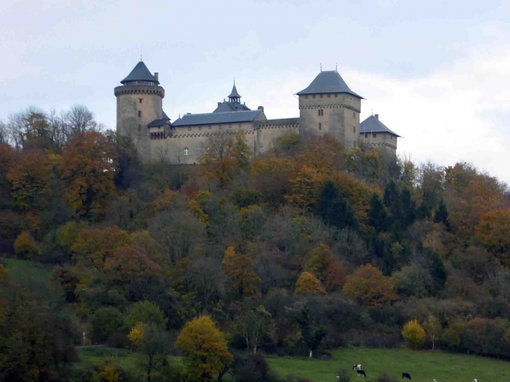 Le château de Malbrouck - Manderen