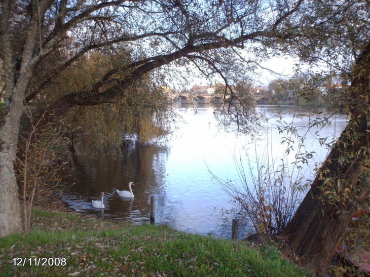 Bord de la Moselle - Metz