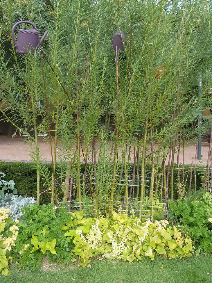 Le jardin de l'Esplanade - Metz