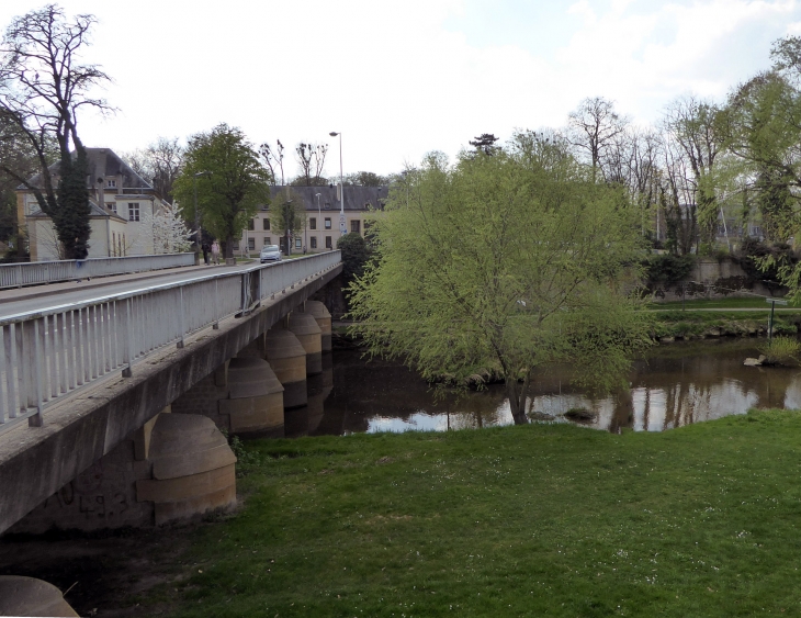 L-ile-du-saulcy-universite - Metz