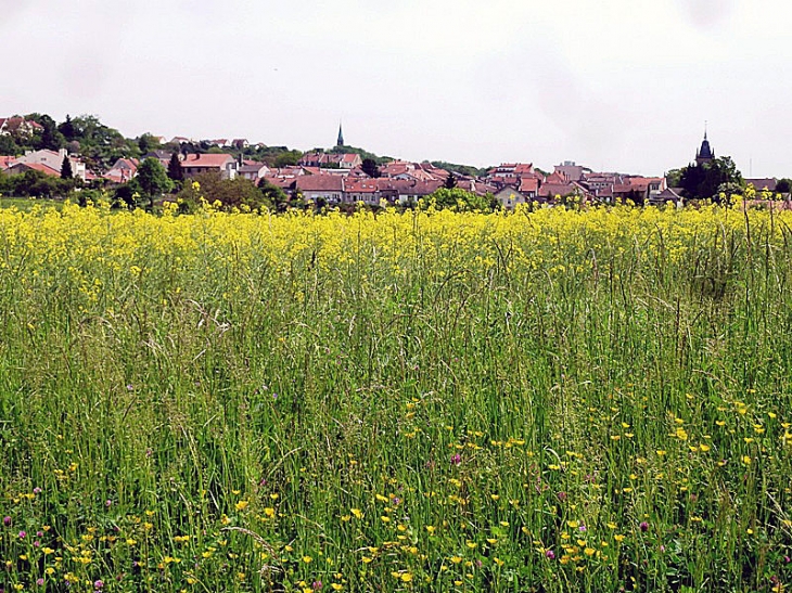 Vue sur le village - Morhange