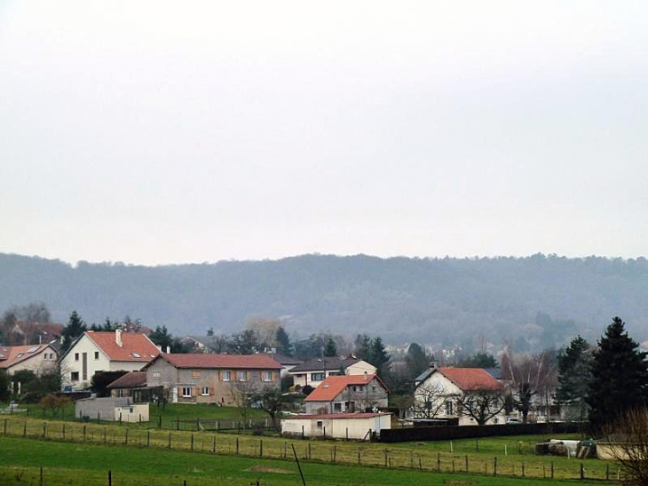 Vue sur le village - Plesnois