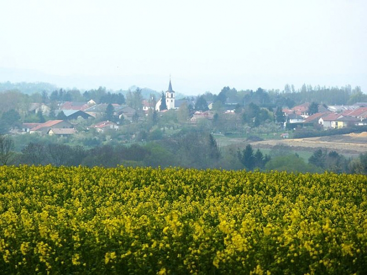 Vue sur le village - Pournoy-la-Grasse