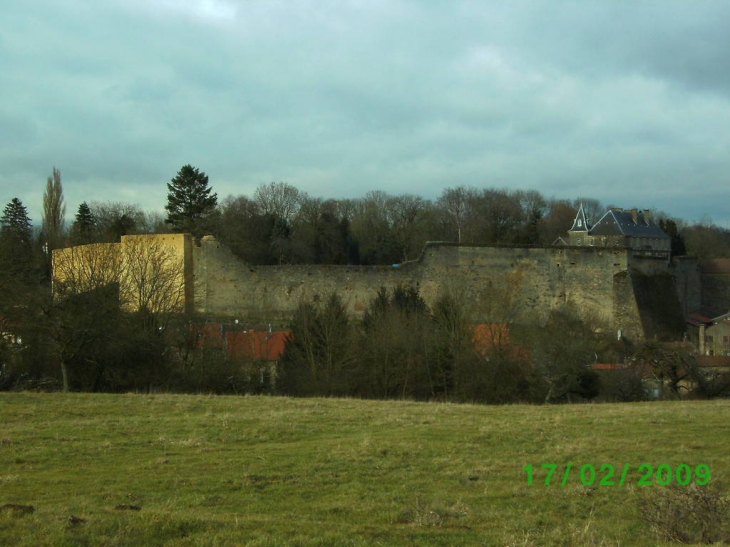 Vue du château - Rodemack