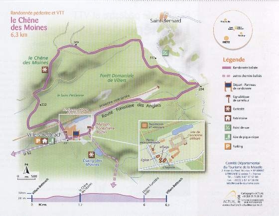 Chemin le chêne des Moines - Saint-Hubert