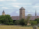 Photo précédente de Saint-Jean-de-Bassel vue sur le village, ses clochers et ses troupeaux