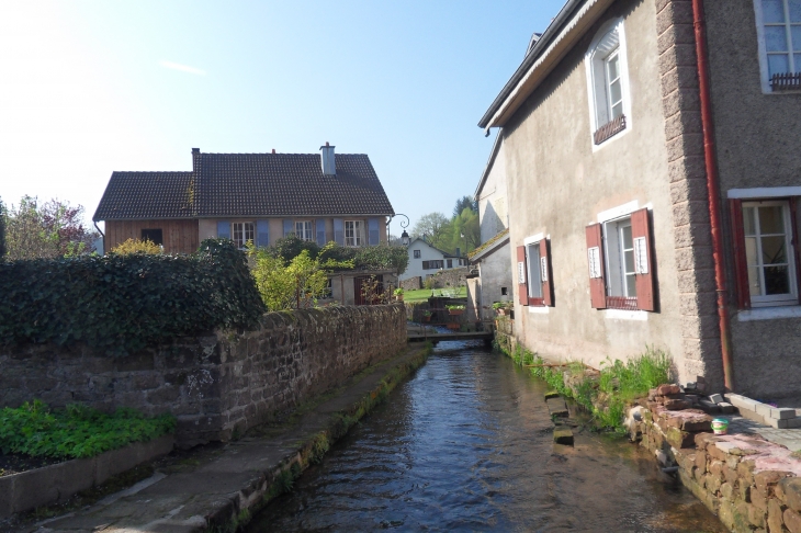 Le ruisseau de Saint-Quirin