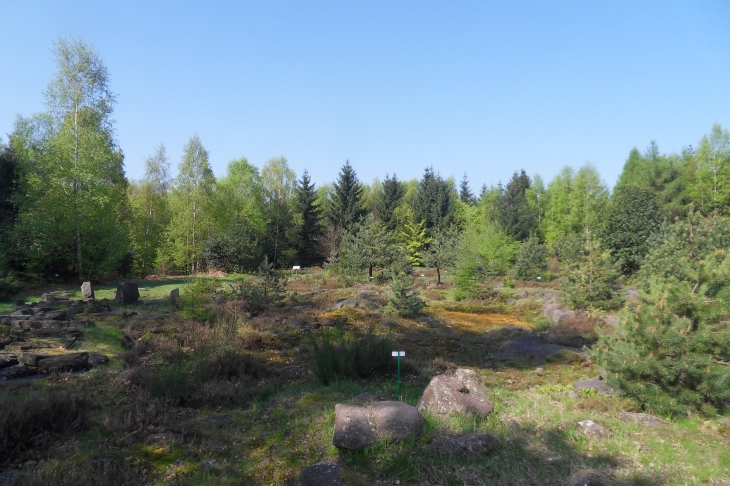 Site archéologique de la Croix Guillaume - Saint-Quirin