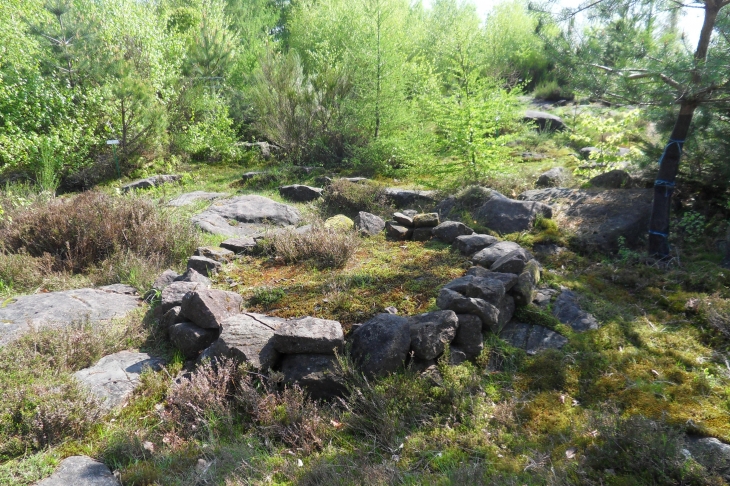 Site archéologique de la Croix Guillaume, nécropole - Saint-Quirin