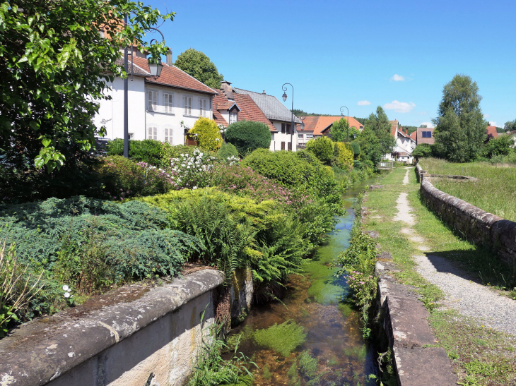 Au bord du ruisseau - Saint-Quirin