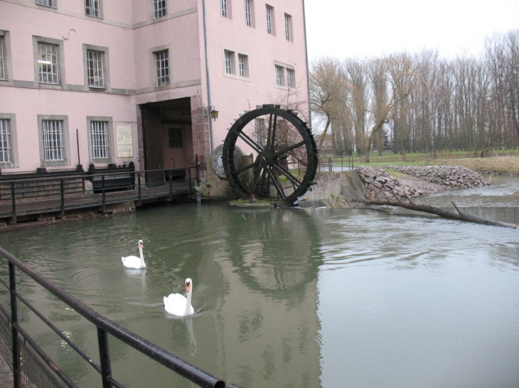 MOULIN  P. DUBACH - Sarralbe