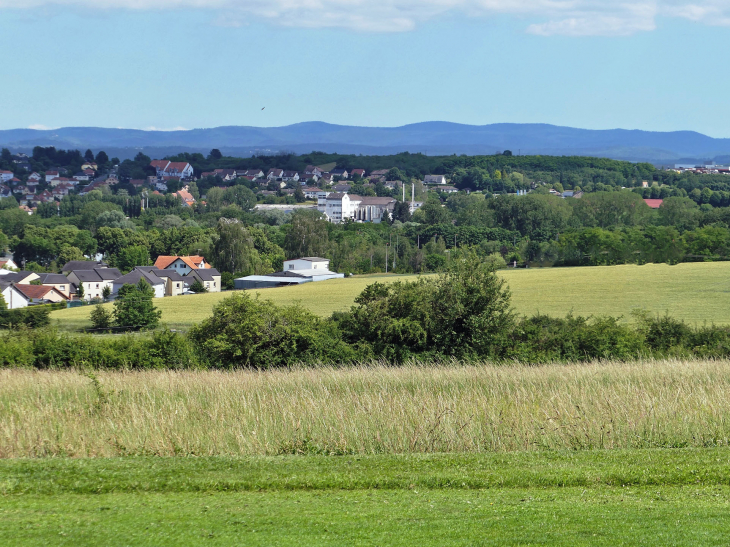 Vue sur la ligne bleue des Vosges - Sarrebourg