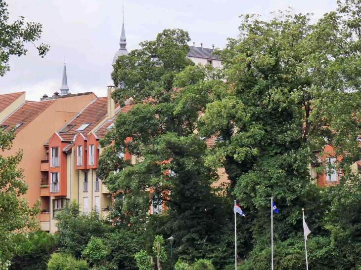 Vue sur les maisons de l'autre rive de la Sarre - Sarreguemines