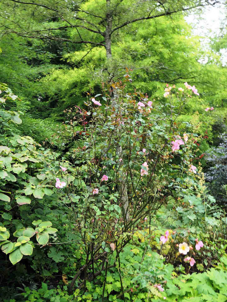 Le jardin des Faïenciers - Sarreguemines