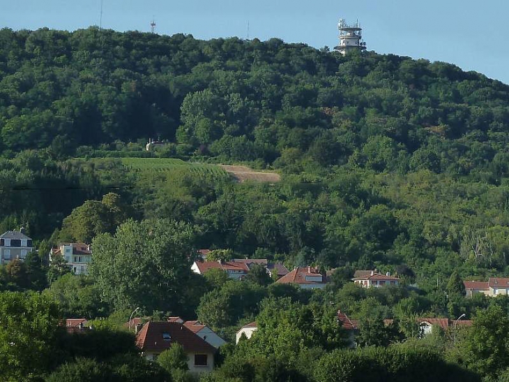 Village du Mont Saint Quentin - Scy-Chazelles