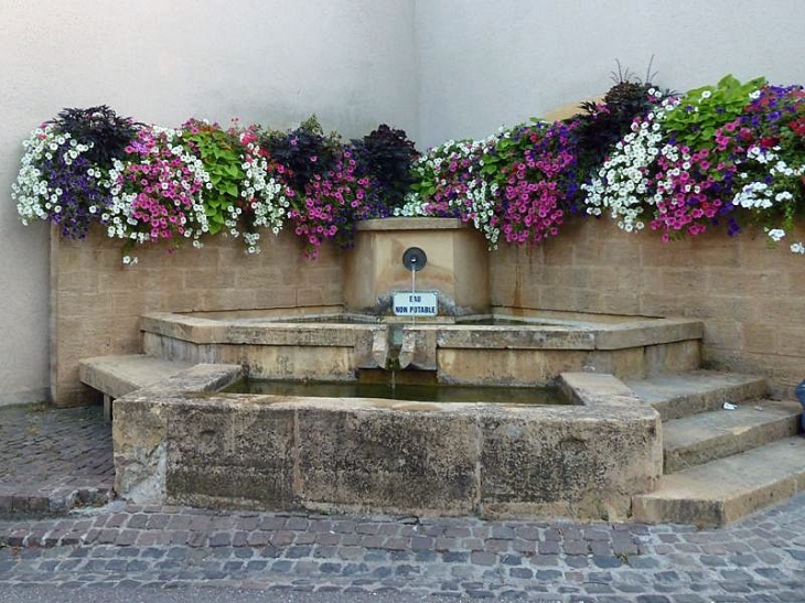 Scy : fontaine - Scy-Chazelles