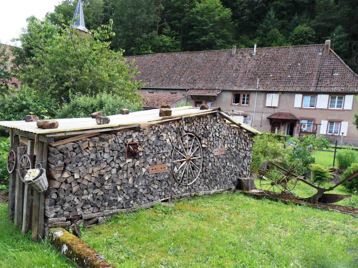 Dans l'enceinte de l'abbaye - Sturzelbronn