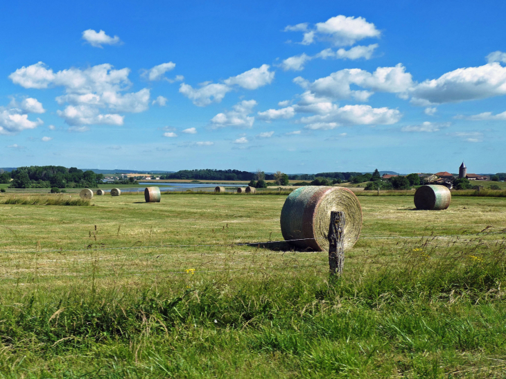 Le village au bord de l'étang de Lindre - Tarquimpol