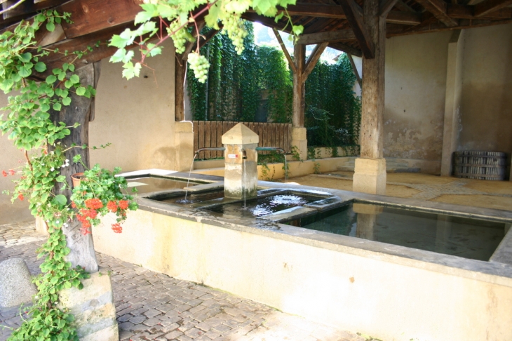 La halle et le lavoir - Vaux