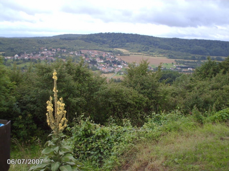 Vue de Veckring