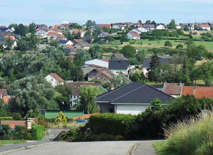 Vue sur le village - Wiesviller