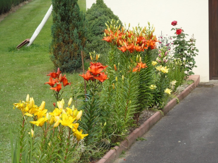 Jardin a Ban sur Meurthe Clefcy  (Salinas) - Ban-sur-Meurthe-Clefcy