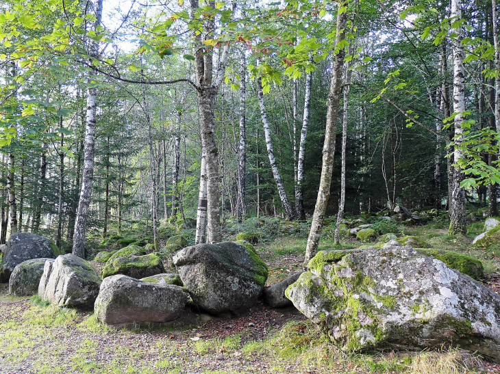 Le champ de roches - Barbey-Seroux