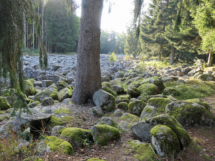 Le champ de roches - Barbey-Seroux