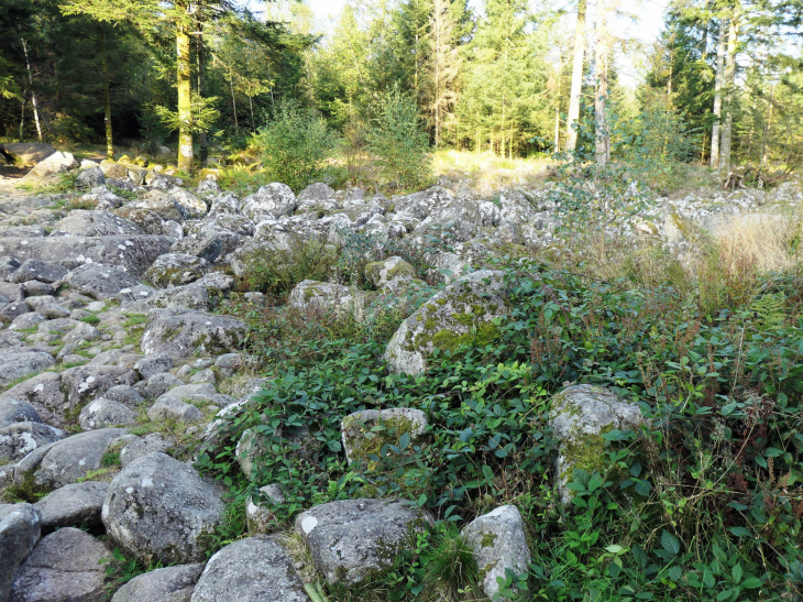 Le champ de roches - Barbey-Seroux