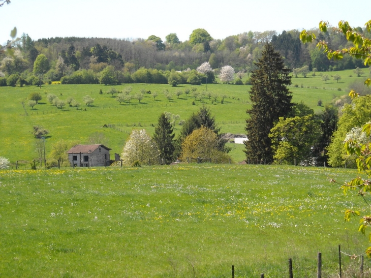 Notre  belle campagne au printemps - Belmont-lès-Darney