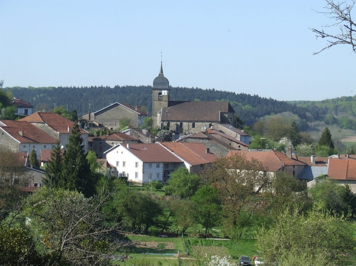 Vue sur le village depuis l'ancienne route menant à Monthureux sur Saone - Bleurville