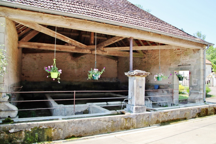 Le Lavoir - Bleurville