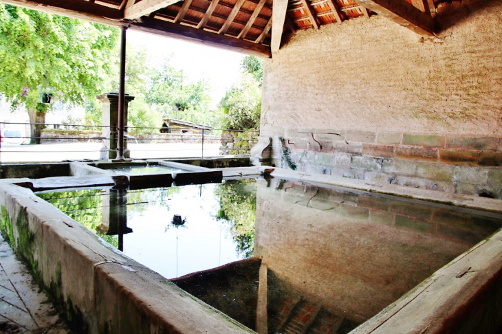 Le Lavoir - Bleurville