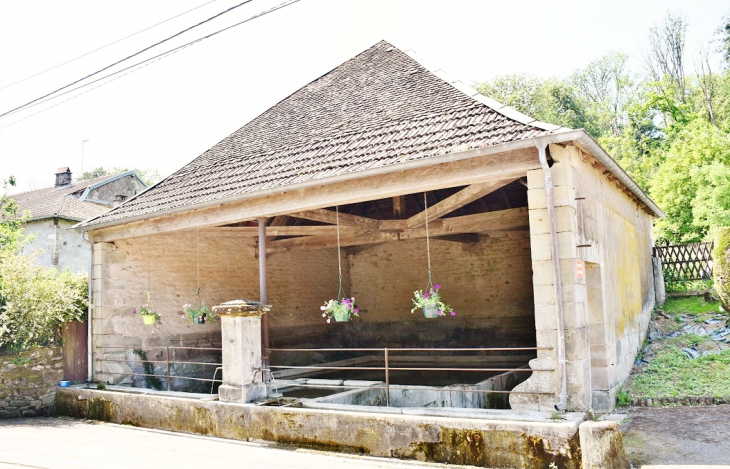 Le Lavoir - Bleurville