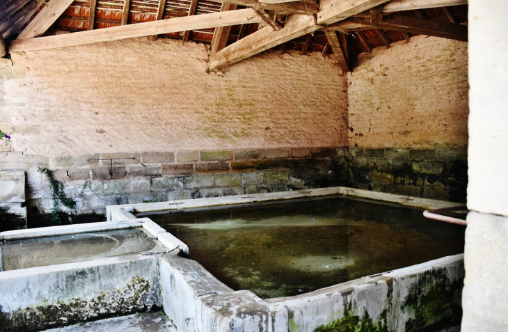 Le Lavoir - Bleurville