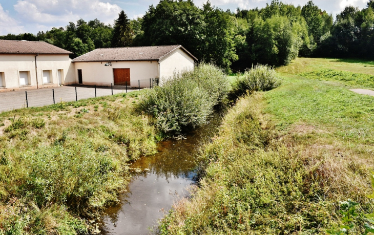 La Saône - Bonvillet