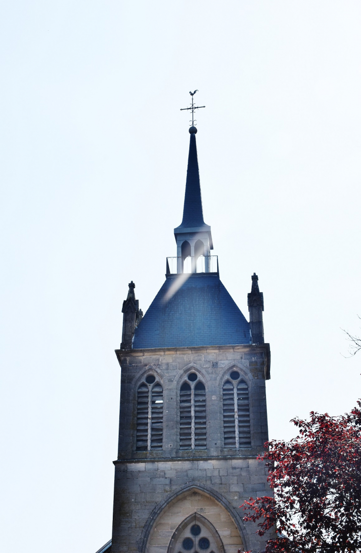 'église Notre-Dame - Châtillon-sur-Saône