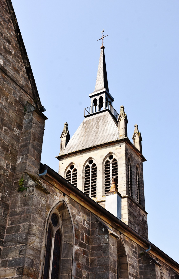 'église Notre-Dame - Châtillon-sur-Saône