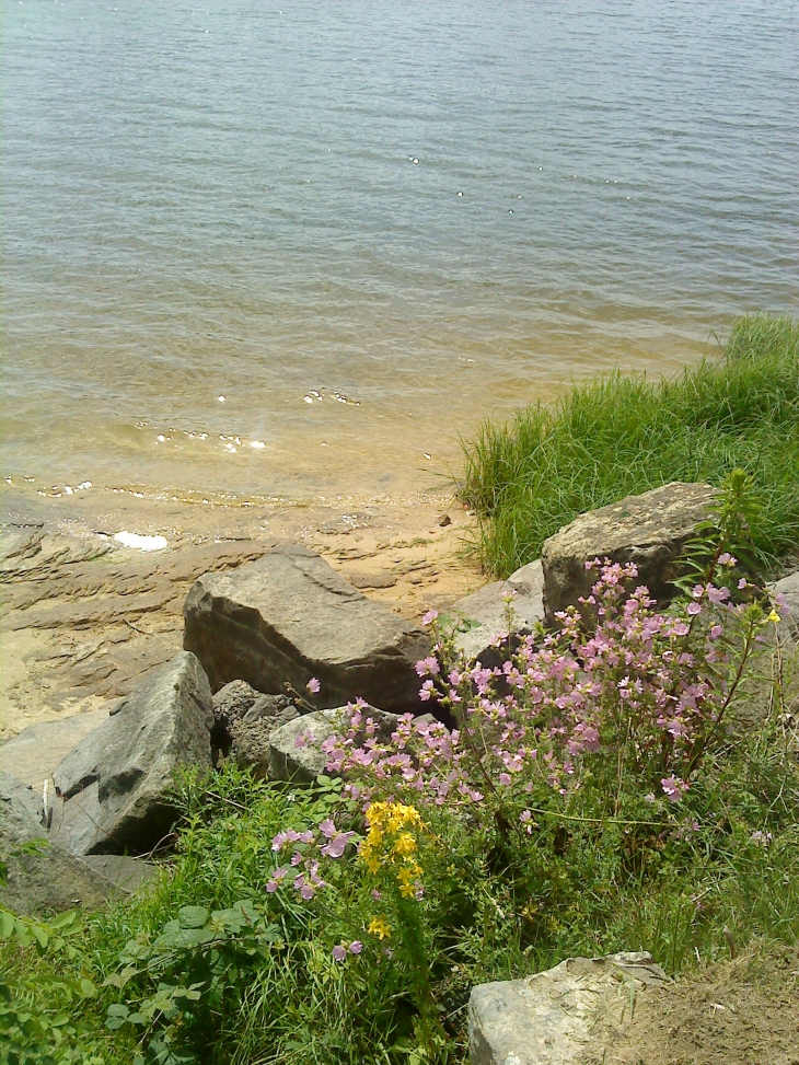 Tour du lac de Bouzey G.K - Chaumousey