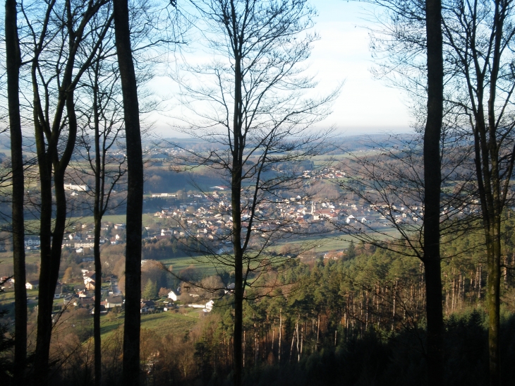 Panorama depuis les hauteurs du village à proximité du Ruxelier - Cheniménil