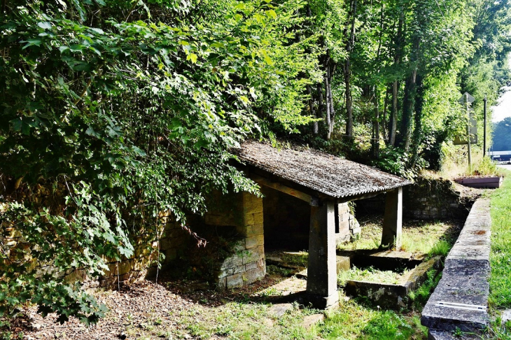 Le Lavoir - Darney