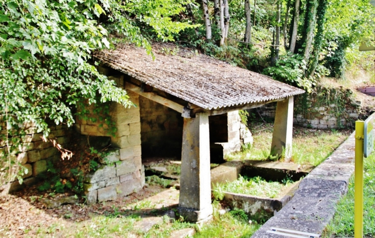 Le Lavoir - Darney