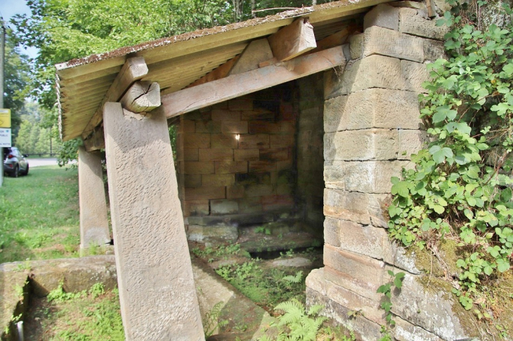 Le Lavoir - Darney