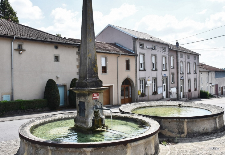 Fontaine - Dombasle-devant-Darney