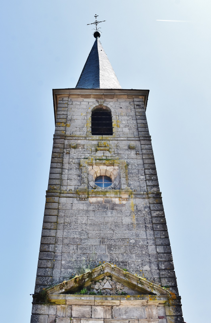 ++église St Brice - Dombrot-le-Sec
